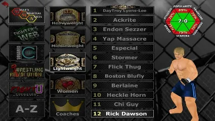 Weekend Warriors MMA АВТОДОСТАВКА STEAM РОССИЯ