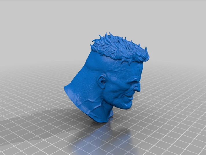 BIZARRO BUST: TESTED AND READY FOR 3D PRINTING