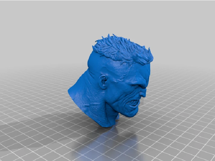 BIZARRO BUST: TESTED AND READY FOR 3D PRINTING