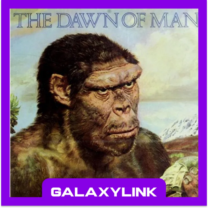 Dawn of Man - Steam Оффлайн 