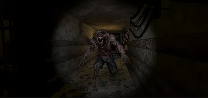 Insanity's Grip АВТОДОСТАВКА STEAM GIFT РОССИЯ