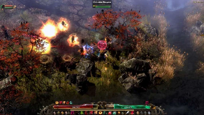 💥 Grim Dawn 🌼 Steam 🍴 Worldwide