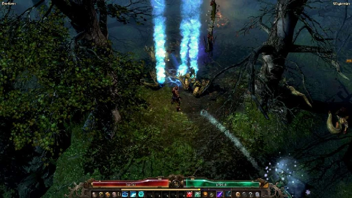 💥 Grim Dawn 🌼 Steam 🍴 Worldwide