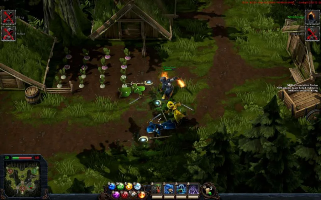  Magicka: Wizard Wars - Paradox Playtpus Robe  DLC