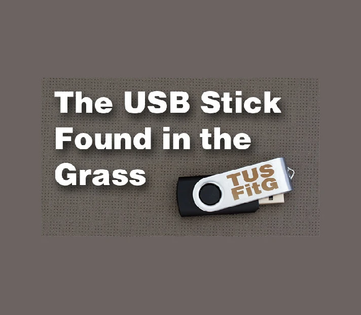 💫 The USB Stick Found in the Grass 💖 Steam Key