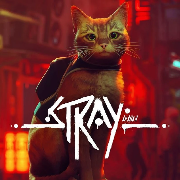 STRAY 🔵[XBOX ONE, SERIES X|S, PC WINDOWS] KEY