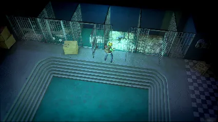 DYSMANTLE: Pets  Dungeons DLC STEAM GIFT РОССИЯ