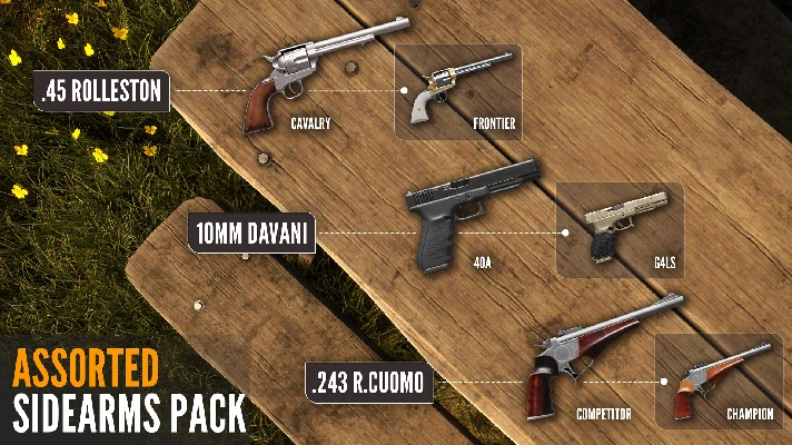 theHunter: Call of the Wild™ - Assorted Sidearms Pack