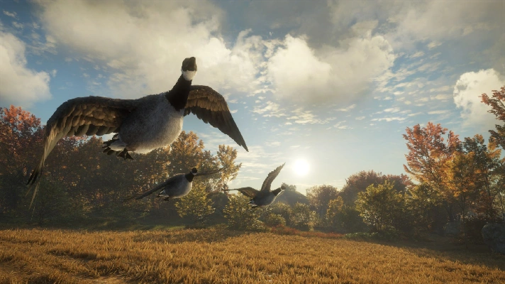 theHunter: Call of the Wild™ - Wild Goose Chase Gear