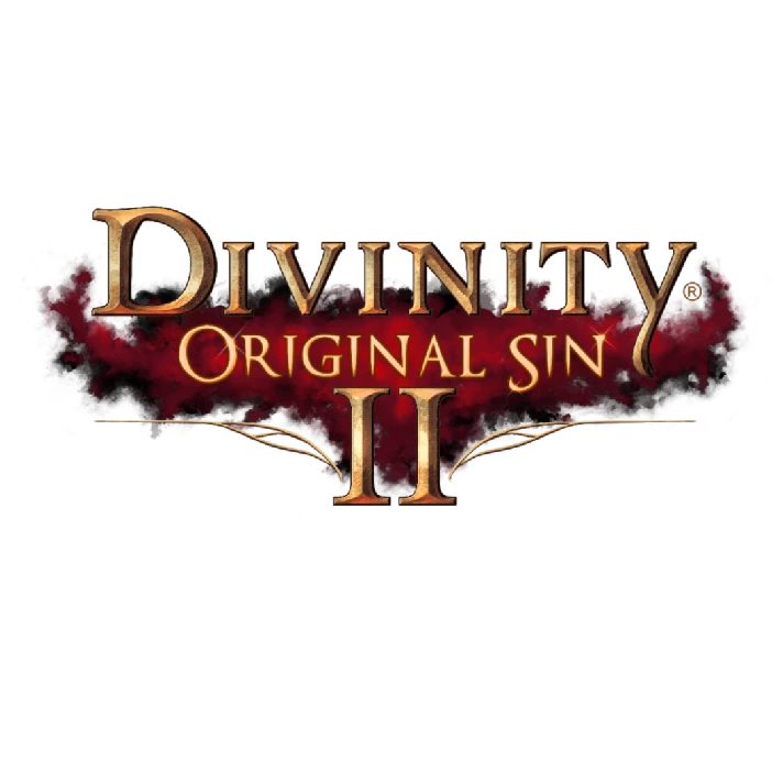 Divinity: Original Sin 2 | Offline | Steam | Forever