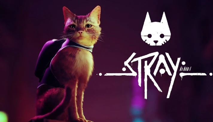 💥Stray 🔵 PS4/PS5 🔴Turkey🔴