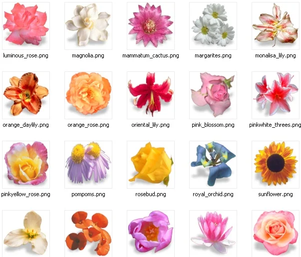 Коллекция иконок Bouquet + БОНУС