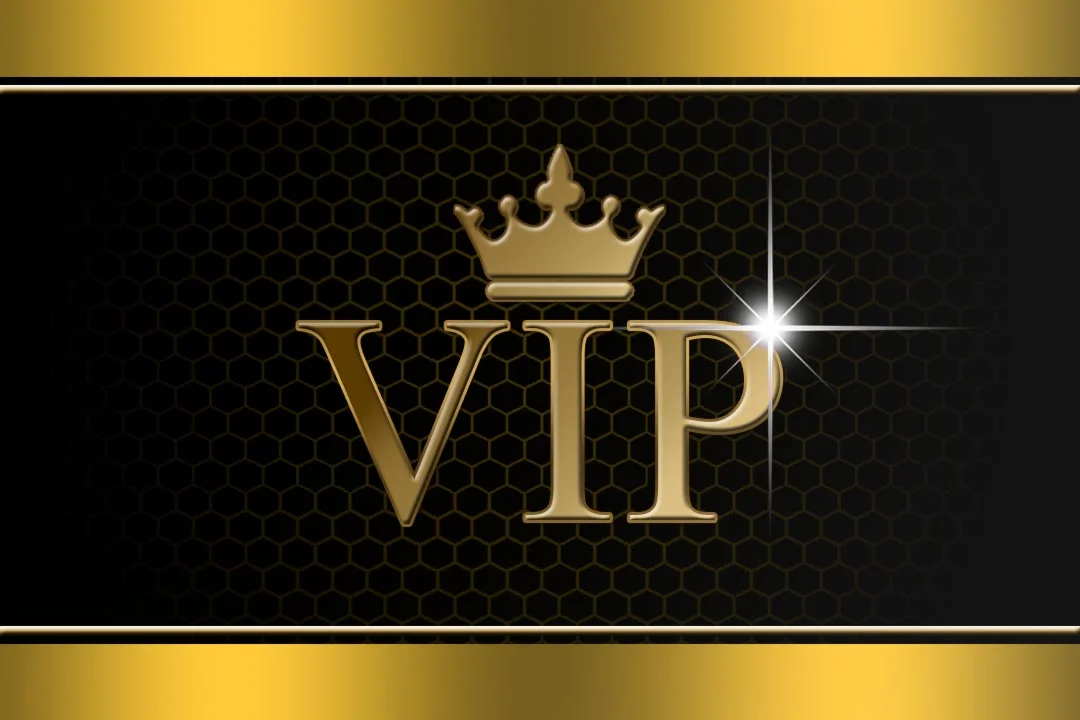 Random ViP  Steam Key