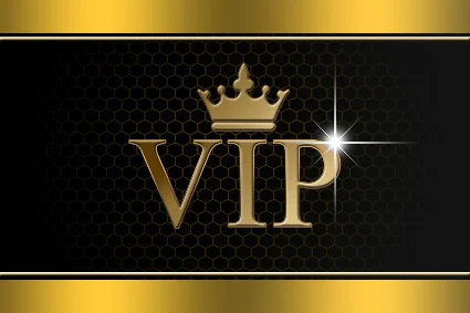 Random ViP 🏆 Steam Key