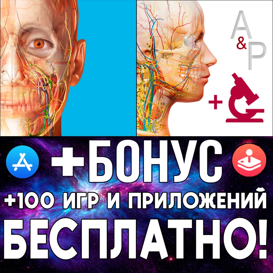  Human Anatomy Atlas 2024 + Physiology ios iPhone iPad