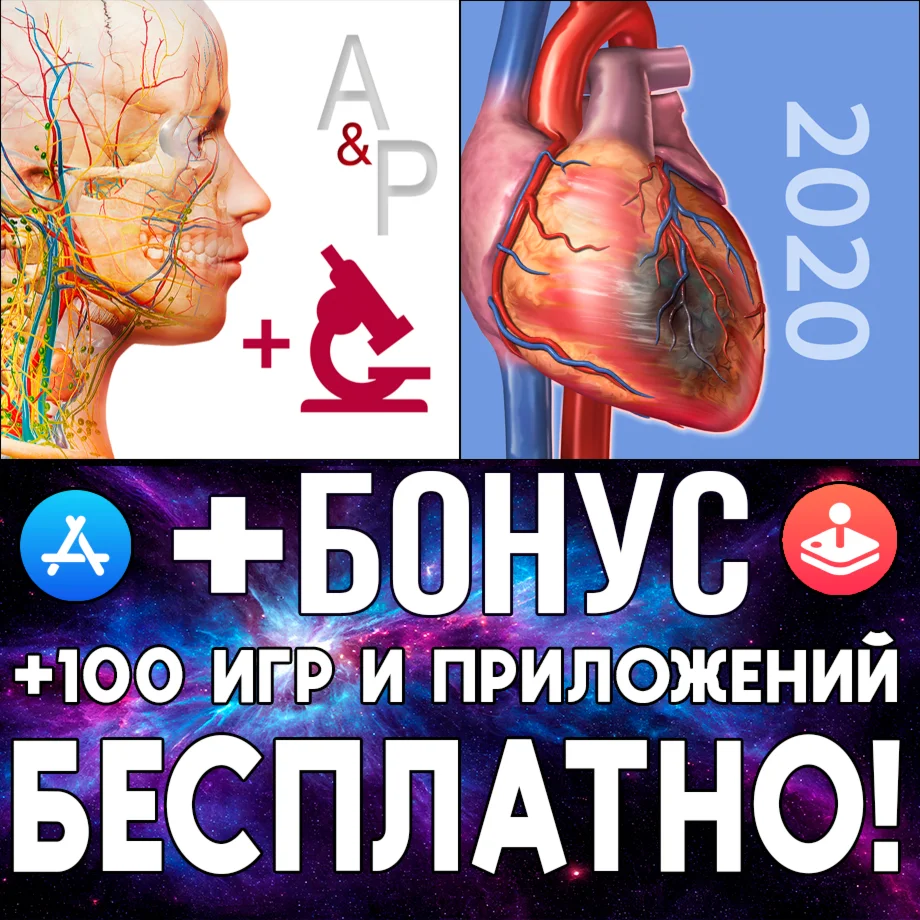  Anatomy & Physiology + Pathology iPhone ios AppStore