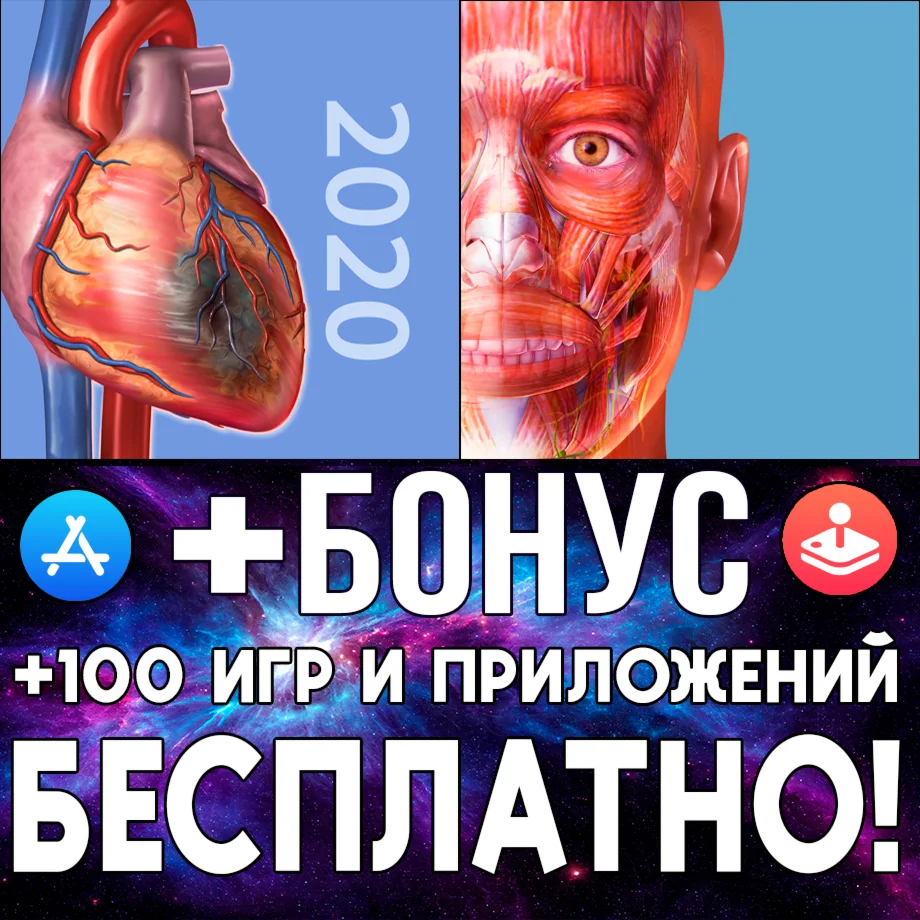  Physiology & Pathology + Muscles iPhone ios AppStore