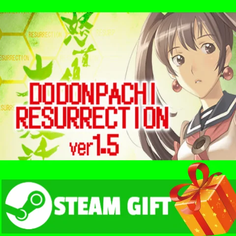 ⭐️ВСЕ СТРАНЫ+РОССИЯ⭐️ DoDonPachi Resurrection STEAM