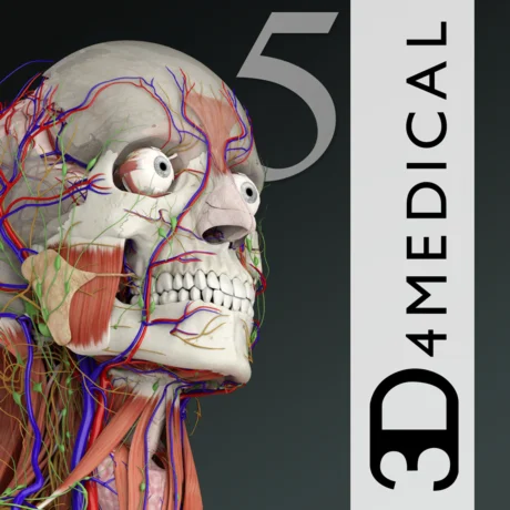 Essential Anatomy 5 iPhone ios iPad Appstore +БОНУС