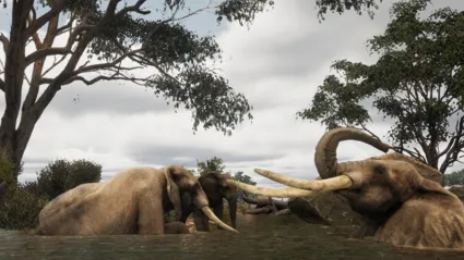Animalia Survival * STEAM РОССИЯ 🔥 АВТОДОСТАВКА