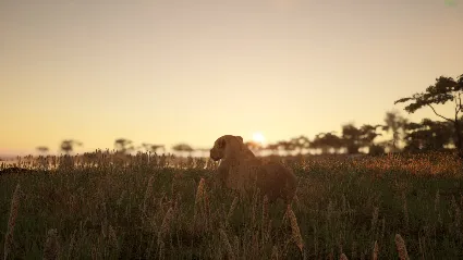 Animalia Survival * STEAM РОССИЯ 🔥 АВТОДОСТАВКА