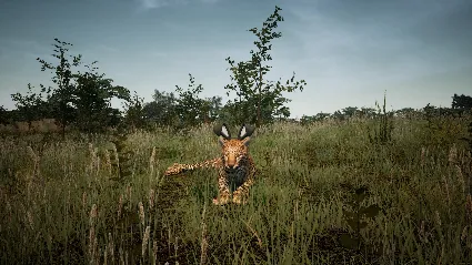 Animalia Survival EggHunt DLC * STEAM 🔥 АВТОДОСТАВКА