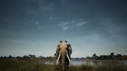 Animalia Survival EggHunt DLC * STEAM 🔥 АВТОДОСТАВКА