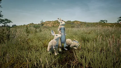 Animalia Survival EggHunt DLC * STEAM 🔥 АВТОДОСТАВКА