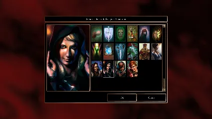 Neverwinter Nights: Enhanced Edition Heroes of Neverwin