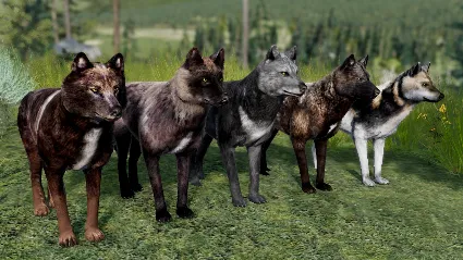 WolfQuest Anniversary - Building Character Pack DLC