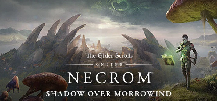 The Elder Scrolls Online Collection: Necrom Steam Gift