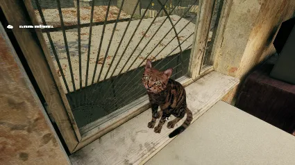 G.O.P.O.T.A * STEAM РОССИЯ 🔥 АВТОДОСТАВКА