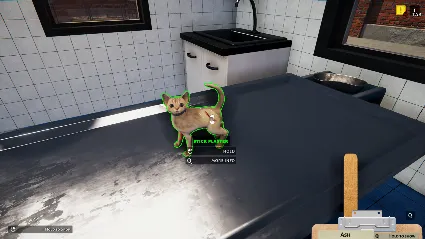 Animal Shelter - Puppies  Kittens DLC * STEAM RU 🔥
