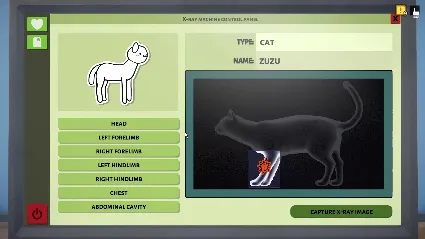 Animal Shelter - Vet Clinic DLC * STEAM 🔥 АВТОДОСТАВКА
