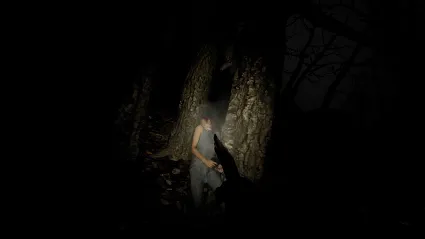 Blood Trail * STEAM РОССИЯ 🔥 АВТОДОСТАВКА