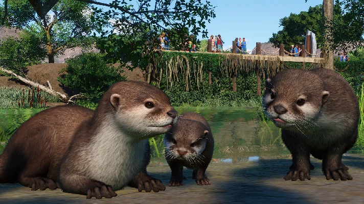 Planet Zoo: Wetlands Animal Pack (Steam Gift RU)