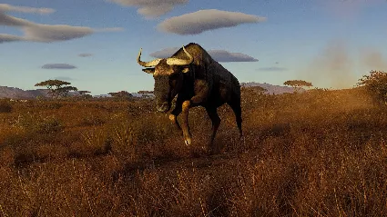 Way of the Hunter - Tikamoon Plains DLC * STEAM RU 🔥
