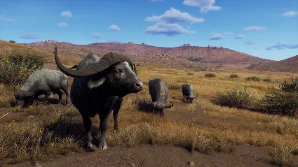 Way of the Hunter - Tikamoon Plains DLC * STEAM RU 🔥