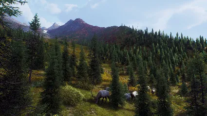 Way of the Hunter - Aurora Shores DLC * STEAM RU 🔥