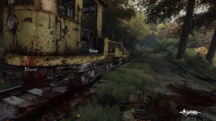 The Vanishing of Ethan Carter - Collector's Edition Upg
