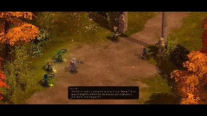 Magicka: The Other Side of the Coin DLC * STEAM RU 🔥