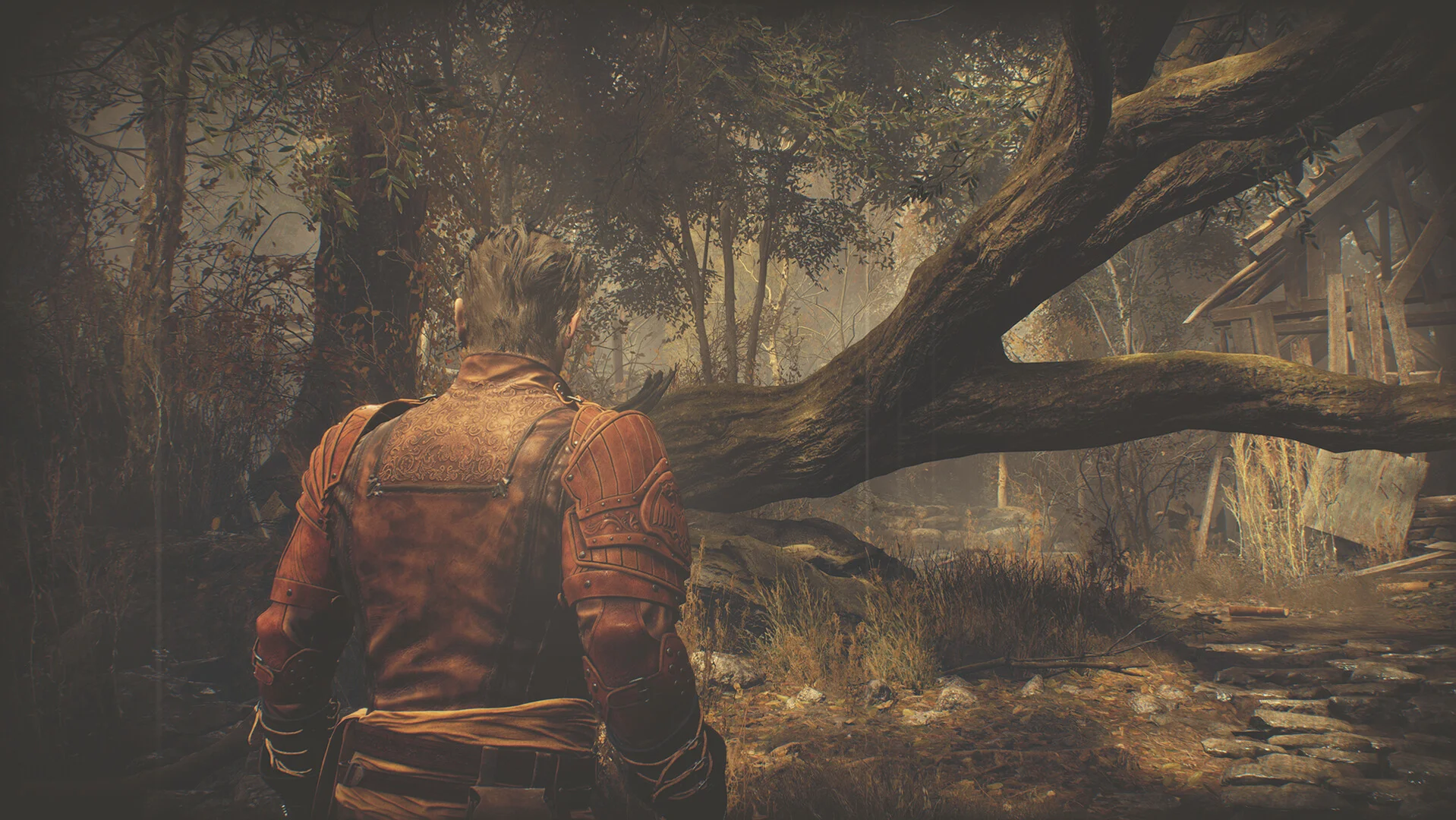 Resident Evil 4 Leon Costume &amp; Filter: 'Hero' Steam RU