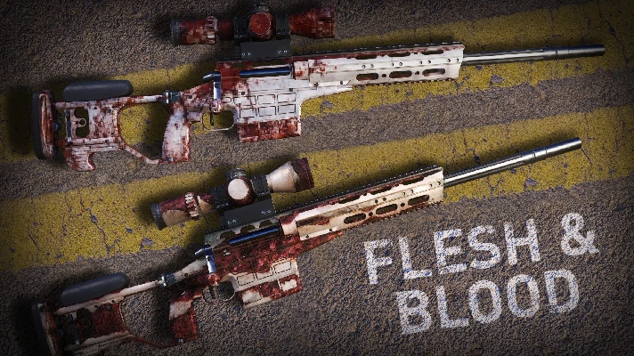 Sniper Ghost Warrior Contracts 2 - Flesh & Blood Skin