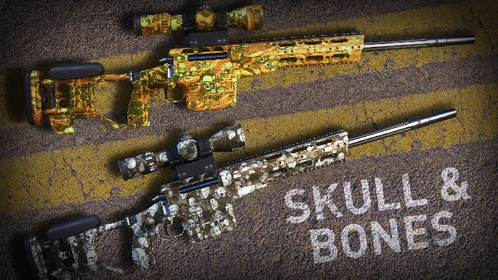 Sniper Ghost Warrior Contracts 2 - Skull & Bones Skin