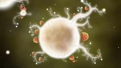 Botanicula * STEAM РОССИЯ 🔥 АВТОДОСТАВКА