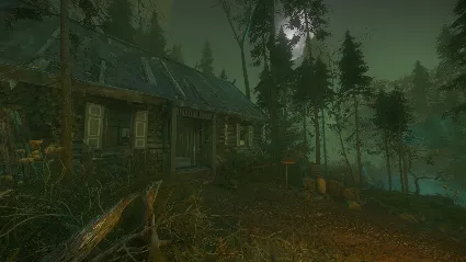 The Cursed Forest * STEAM РОССИЯ 🔥 АВТОДОСТАВКА
