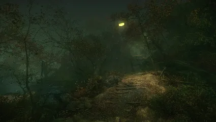 The Cursed Forest * STEAM РОССИЯ 🔥 АВТОДОСТАВКА