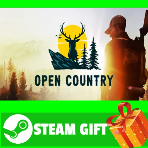⭐️ВСЕ СТРАНЫ+РОССИЯ⭐️ Open Country Steam Gift