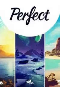 Perfect(ROW (без СНГ))Steam