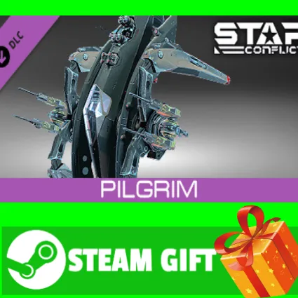 ⭐ ️ВСЕ СТРАНЫ+РОССИЯ ⭐ ️ Star Conflict - Pilgrim STEAM